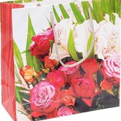 Пакет кольоровий квадрат 24х24х10 см