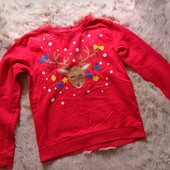 Світшот, реглан