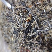 Насіння чорнобривців