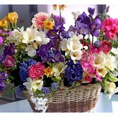 Алмазна мозаїка 20*30- одна на вибір