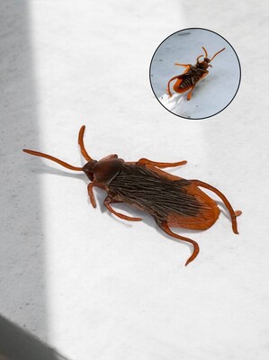 Фото №1 class=