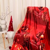 Плед тепленький 200/230 євро