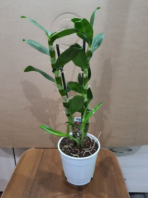 Фото №1 class=