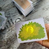 Гра з ліхтариком — незамінна розвага під час відключення світла, 90 карток +фонарик