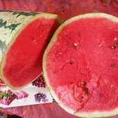 Кавун надранній Діксі, 20 насінин