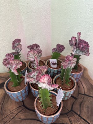 Фото №1 class=