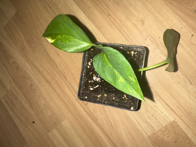 Фото №1 class=