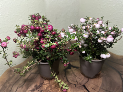 Фото №1 class=