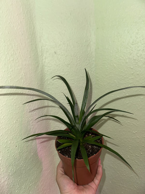 Фото №1 class=