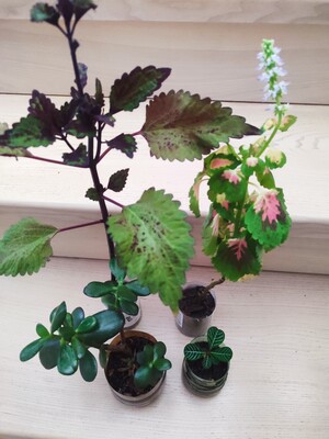 Фото №1 class=