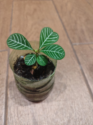 Фото №1 class=