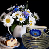 Фарфор Чайный сервиз 6 блюдец и чашка Кремгес Светловодский ФЗ 1960-е