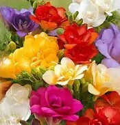 Фото №1 class=