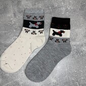 36-41 одним лотом