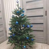 Ялинка Смерека 1.3м