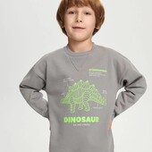 Світшот .один на вибір.sinsay.розмір 104