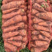 Морква домашня, лот 5 кг