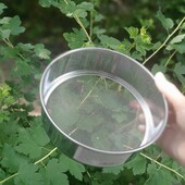 Металлическое сито