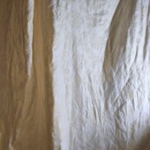 Велике покривало молочне, вензель та королівські лілеї