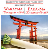 Японський дайкон Вакаяма
