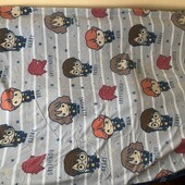 Підковдра Harry Potter, підодіяльник на гудзиках, пододеяльник, 185*126, 100% хлопок, в ідеалі