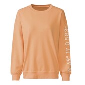 Світшот від Німецького бренду Esmara двунитка L 44/46 euro