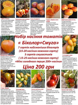 Фото №1 class=