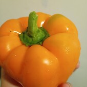 солодкий перець Шаолінь, 15 насінин