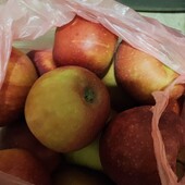 Яблуко домашне соковите лот 3 кг