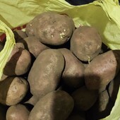 Картопля домашня лот 10 кг