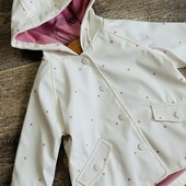 Вітровка, дощовик, 3-6 місяців