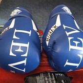 Боксерські перчатки ✓10