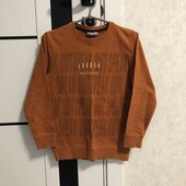 Два світшоти