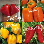 Комплект насіння перцю- 13сортів