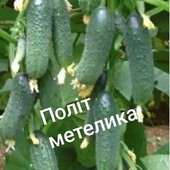 Насіння огірків та кабачків-10+2набори