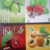 Зошити 48 арк. клітинка (комплект 3 шт.) — Аукціон! Шкільна канцелярія