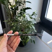 Олівець для брів зі щіточкою коричневий