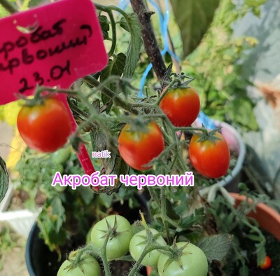 Фото №1 class=