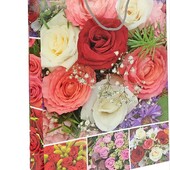 Пакет великий 25х39х8 см