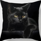 Шикарная наволочка