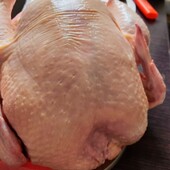 Куриця бройлер 2.6 вага