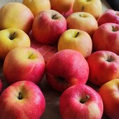 Яблуко домашне лот 3 кг