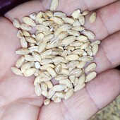 Перловка крупа лот 4.5 кг