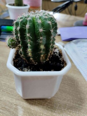 Фото №1 class=