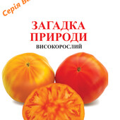 томат біколор Загадка природи, 15 насінин