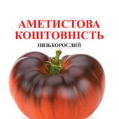 томат з антоціаном Аметистова коштовність, 15 насінин,