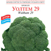 Ранньостигла капуста Брокколі Уолтем 29
