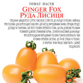 БЕЗрозсадний,ранньостиглий томат Руда лисиця,30 насінин