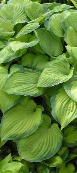 Фото №1