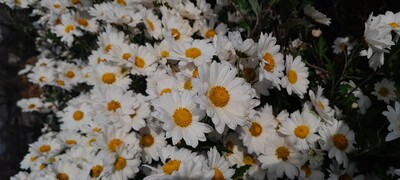 Фото №3